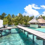 Experience Paradise at Bungalow Hotel Parque del Paraiso 2
